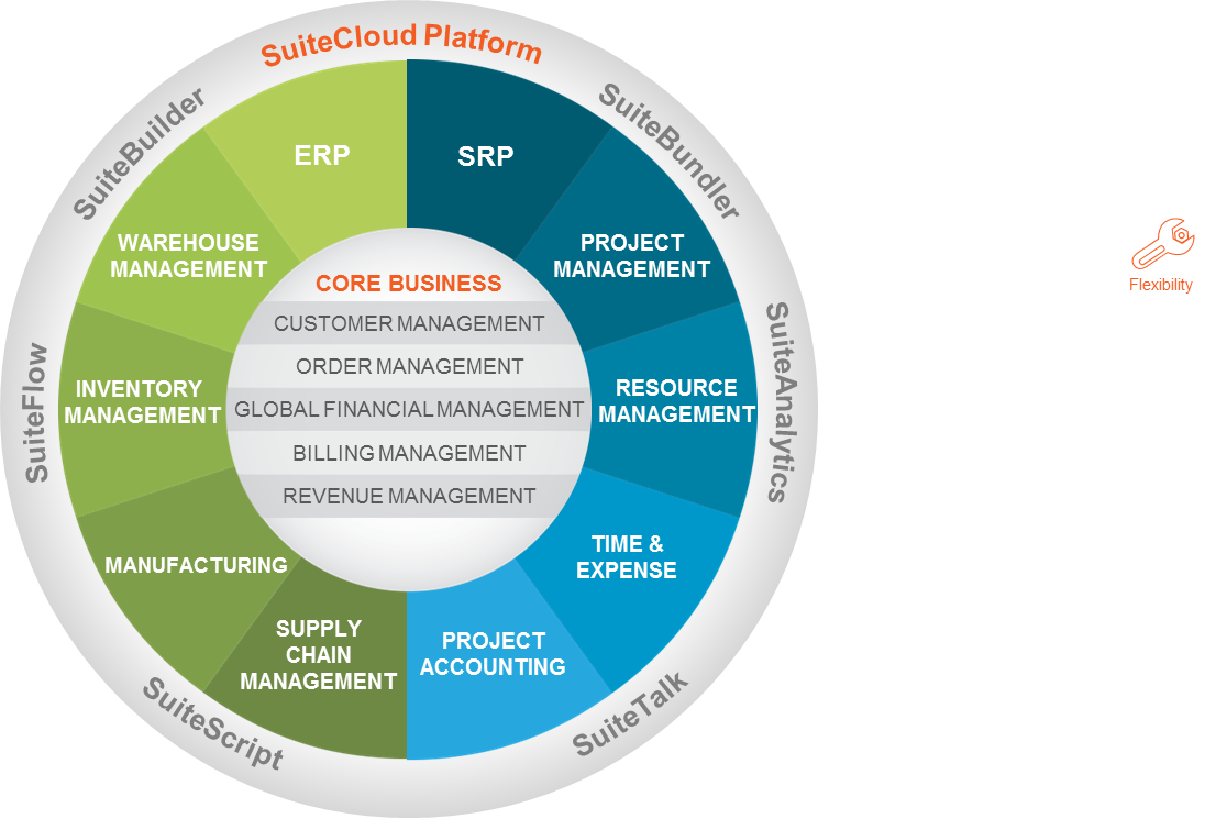 NetSuite_BOS-1